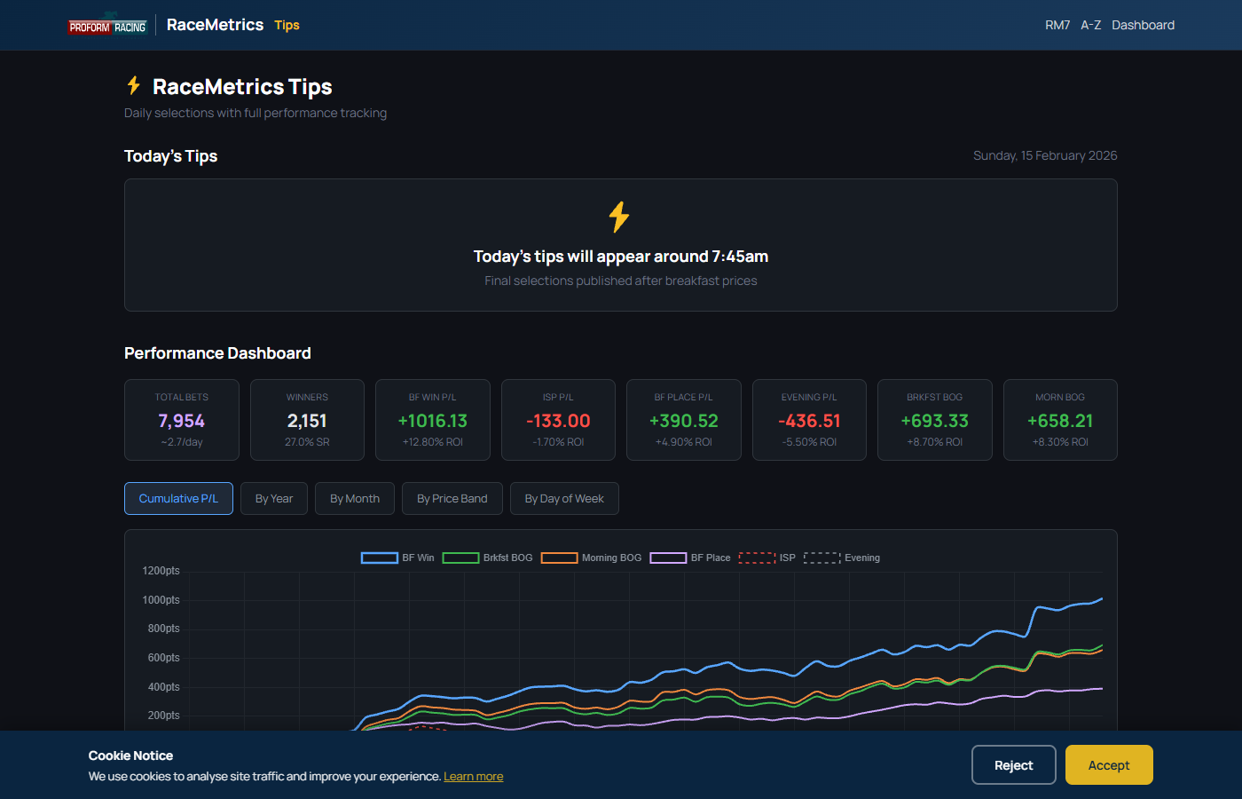 RaceMetrics Tips performance dashboard showing P/L charts and statistics